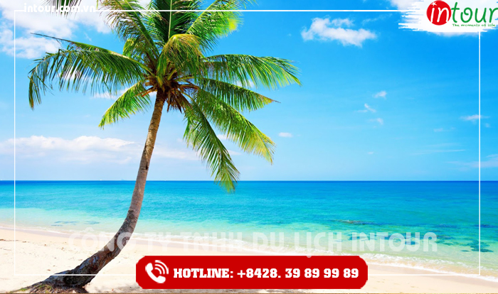 Các Đảo Tổ Chức Team Building Ở Nha Trang INTOUR