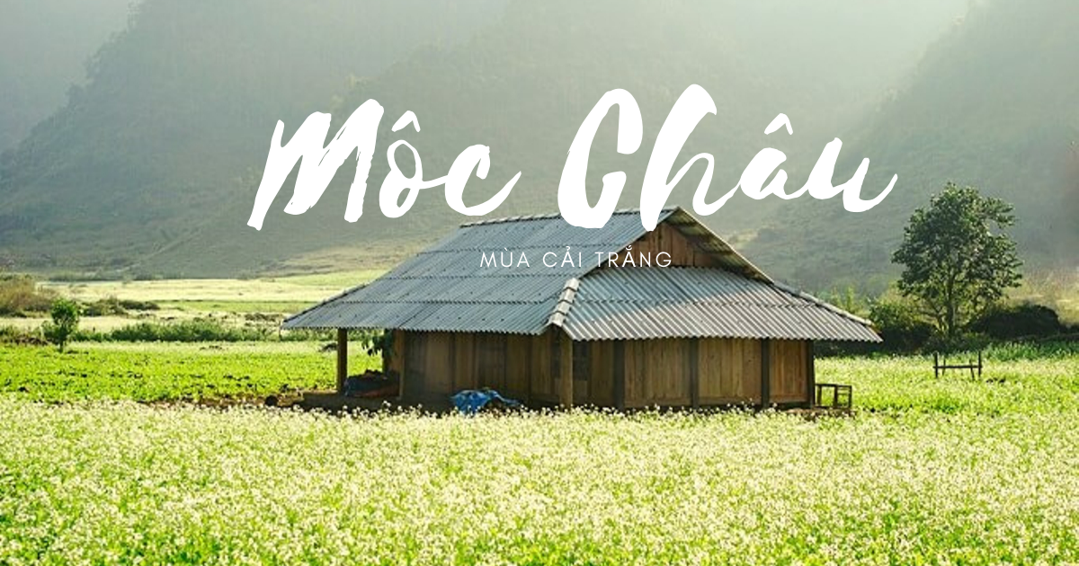 Tổng hợp các địa điểm du lịch vui chơi nổi tiếng ở Sơn La