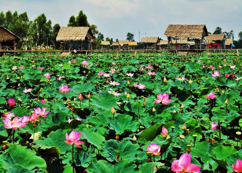 Giá vé các điểm tham quan tại Đồng Tháp mới nhất.