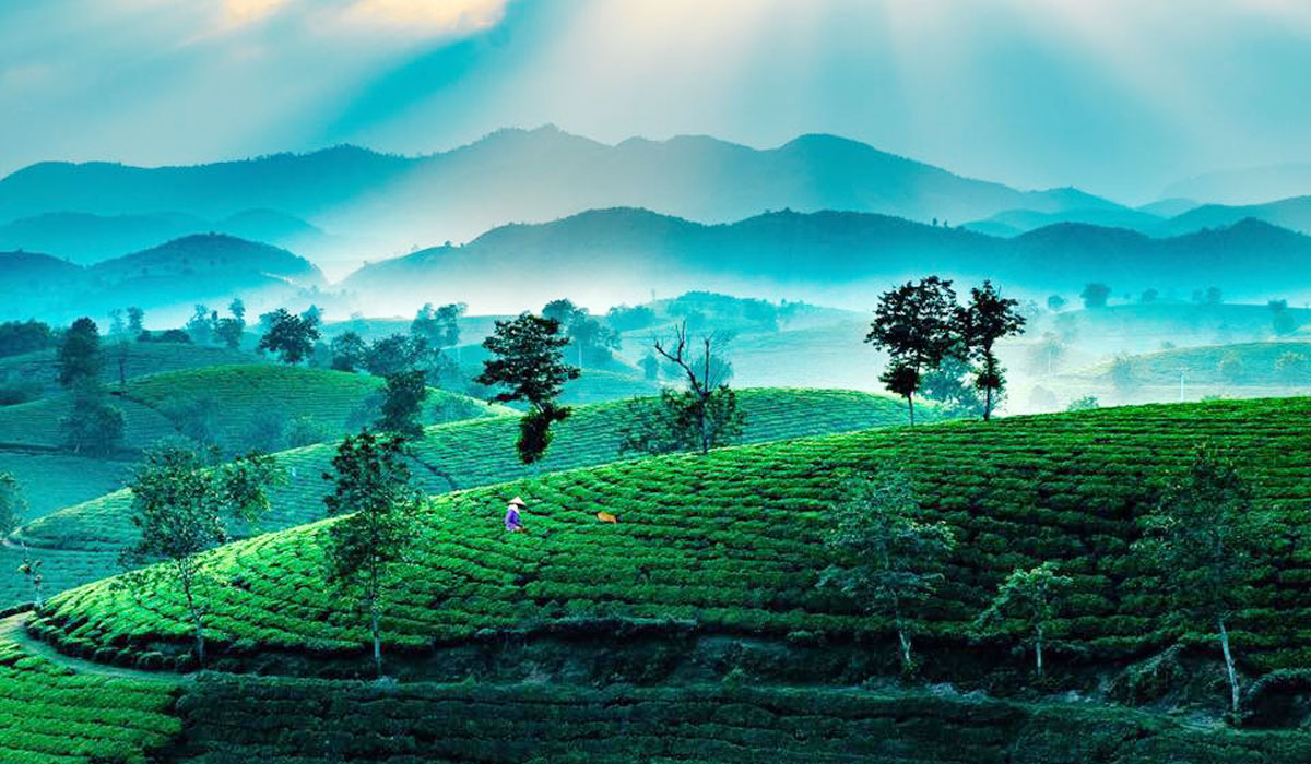 Giá vé các điểm tham quan tại Phú Thọ mới nhất