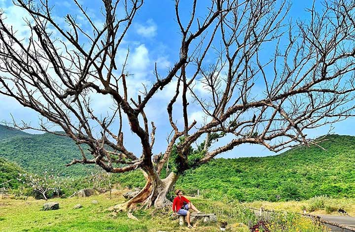 Giá vé các điểm tham quan tại Phú Yên mới nhất.