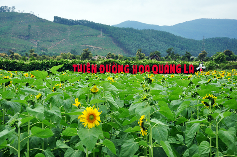 thien duong hoa quang la