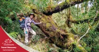 Tour trekking leo núi Pu Ta Leng 3 ngày 2 đêm năm 2026
