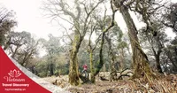 Tour trekking leo núi Khang Su Văn 3 ngày 2 đêm năm 2026