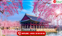 Tour Du Lịch Hàn Quốc Seoul – Nami – Everland 5 Ngày 4 Đêm 2023