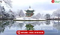 Tour Du Lịch Hàn Quốc Đảo Nami - Everland - Cung Điện Gyeongbok 4 Ngày 3 Đêm 2026