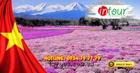 Tour Du Lịch Nhật Bản - Đài Loan 6 Ngày 5 Đêm  Lễ 30/4/2025