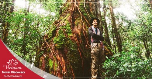 Tour trekking vườn quốc gia Bidoup 3 ngày 2 đêm năm 2025
