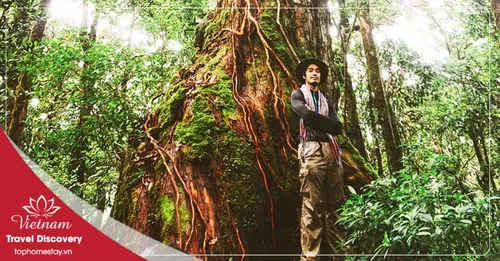 Tour trekking vườn quốc gia Bidoup 3 ngày 2 đêm năm 2026