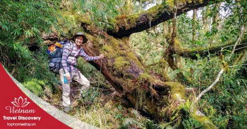 Tour trekking leo núi Pu Ta Leng 3 ngày 2 đêm năm 2025