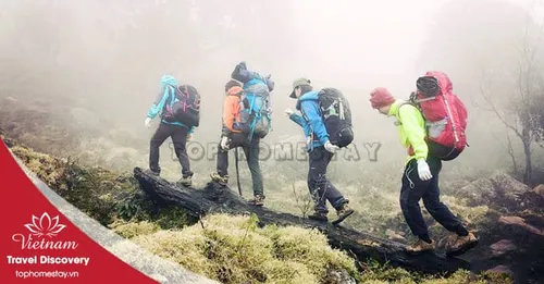 Tour trekking leo núi Nhìu Cồ Sàn 2 ngày 1 đêm năm 2026