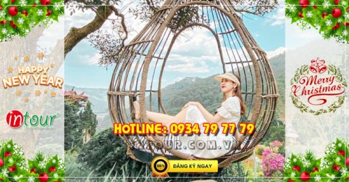 Tour du lịch Đà Lạt 3 ngày 2 đêm Tết Dương Lịch 2026