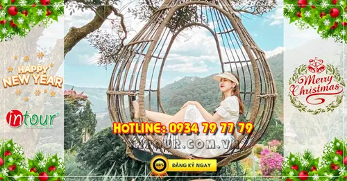 Tour du lịch Đà Lạt 3 ngày 2 đêm Tết Dương Lịch 2026