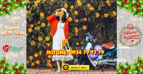 Tour du lịch Đà Lạt 3 ngày 3 đêm Tết Dương Lịch 2026