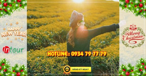 Tour du lịch Sapa Điện Biên Mộc Châu Mai Châu 4 ngày 3 đêm Tết Dương Lịch 2026
