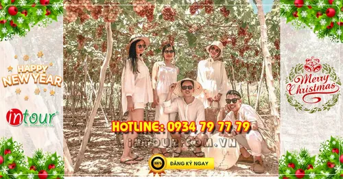 Tour du lịch Ninh Chữ Vĩnh Hy 2 ngày 2 đêm Tết Dương Lịch 2026