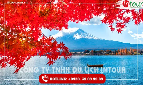 Tour Du Lịch Nhật Bản Tokyo – Núi Phú Sĩ – Nagoya – Kyoto 5 Ngày 4 Đêm 2026