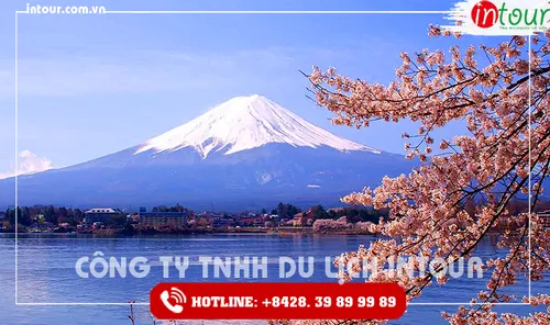 Tour Du Lịch Nhật Bản Đài Bắc - Osaka - Kyoto - Nagoya - Yamanashi 6 Ngày 5 Đêm 2026