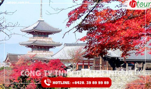Tour Du Lịch Nhật Bản Tokyo – Kyoto – Osaka 7 ngày 6 đêm năm 2025