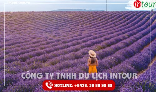 Tour du lịch Pháp - Paris - Giverny - Mont saint Michel - Nantes - Loire - Paris 6 Ngày 5 Đêm 2025