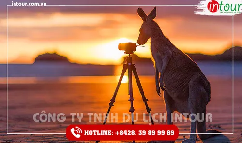 Tour du lịch Úc: Melbourne - Sydney 6 Ngày 5 Đêm 2026