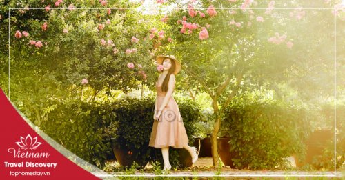 Tour Du Lịch Đồng Hới – Hang Tám Cô – Vườn thực vật - Động Phong Nha 1 ngày