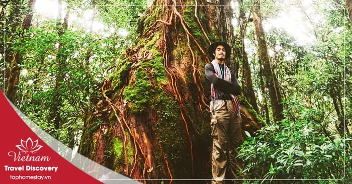 Tour trekking vườn quốc gia Bidoup 3 ngày 2 đêm năm 2026
