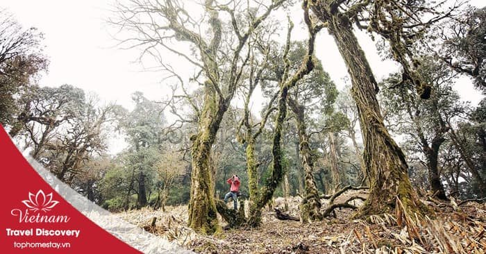 Tour trekking leo núi Khang Su Văn 3 ngày 2 đêm năm 2025