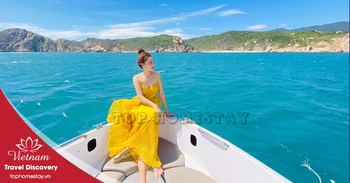 Tour Cắm Trại - Câu Cá - Bãi Cóc - Vịnh Vĩnh Hy - Ninh Chữ 2 ngày 2 đêm năm 2026