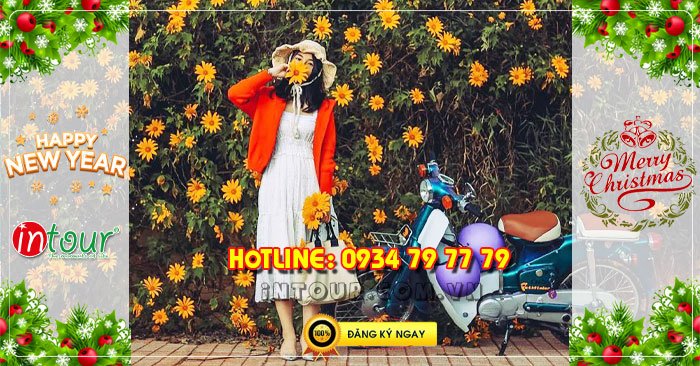 Tour du lịch Đà Lạt 3 ngày 3 đêm Tết Dương Lịch 2026