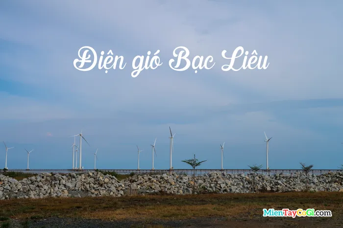 Tổng hợp các địa điểm du lịch vui chơi nổi tiếng ở Bạc Liêu