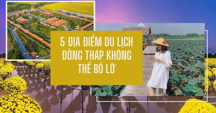 Tổng hợp các địa điểm du lịch vui chơi nổi tiếng ở Đồng Tháp