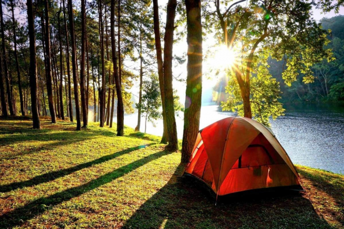 Những địa điểm cắm trại hấp dẫn, an toàn tại Hồng Ngự vô cùng thu hút