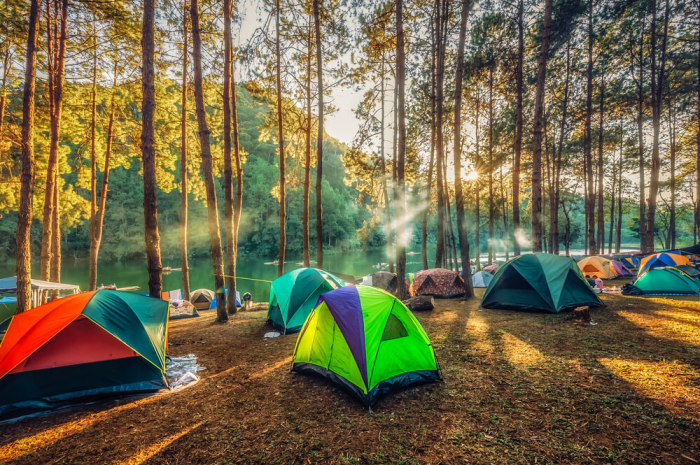 Những địa điểm cắm trại hấp dẫn, an toàn tại Bạc Liêu vô cùng thu hút