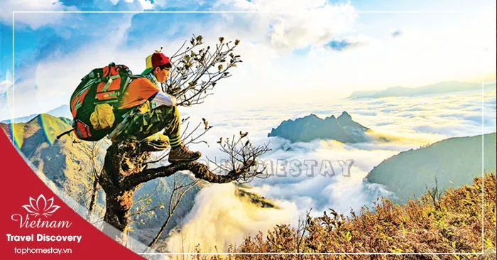 Tour Du Lịch Đồng Hới - Động Thiên Đường - Đỉnh núi U Bò 1 Ngày