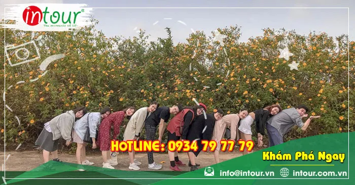 Mùa hoa Dã Quỳ Đà Lạt sắc vàng hoang dại tháng 10 nơi thành phố ngàn hoa