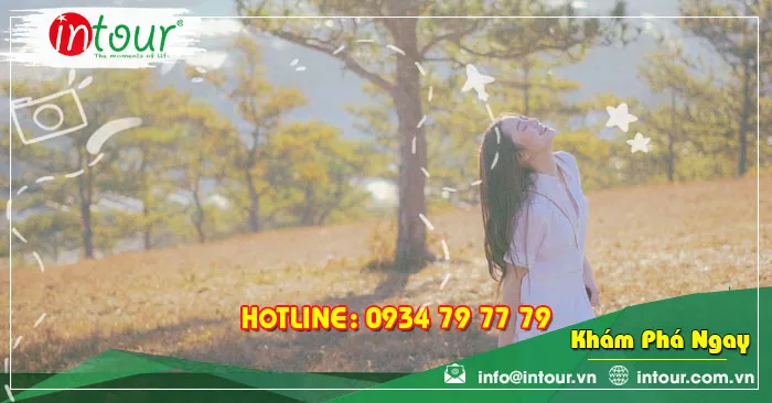 Đồi Đa Phú Đà Lạt Địa Điểm Săn Mây Cắm Trại Check-in Đẹp Như Mơ