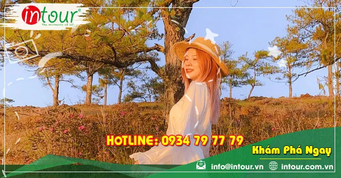 Đồi Thông Hai Mộ Đà Lạt Câu Chuyện Tình Yêu Đẹp Thắm Đượm Nỗi Buồn