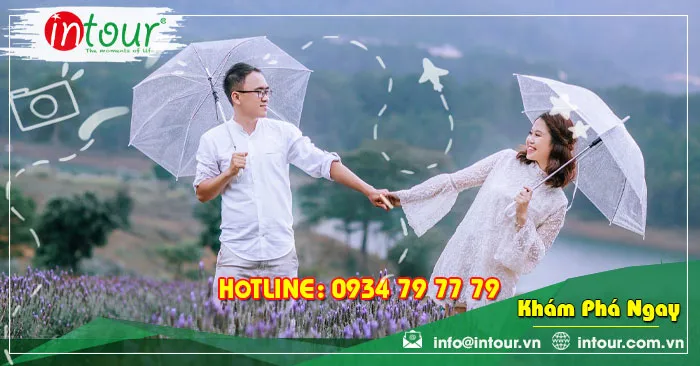 Cánh Đồng Hoa Lavender Tím Đà Lạt Điểm Chụp Ảnh Đẹp Ngây Ngất